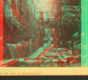 The Flume, looking up. 1858?-1875?