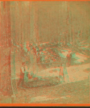 [Boiling sap over open fires.] 1870?-1890?