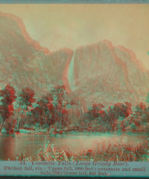 Yosemite Valley (Large grizzlly bear.) 1868-1873