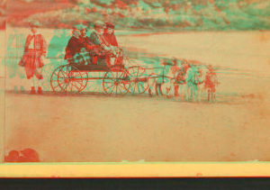 [Children in goat cart on beach.] 1860?-1869?