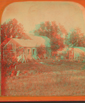 The backyard of a house. 1869?-1879? [ca. 1875]