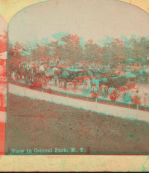 View in Central Park, N.Y. [1860?-1905?]