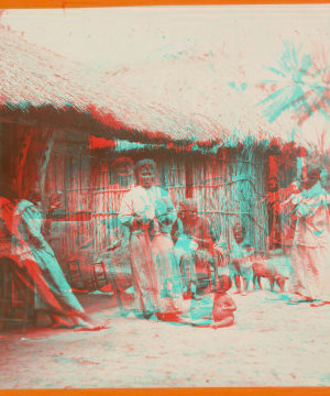 Country Scene near Rio Piedras, Porto Rico. [ca. 1900]