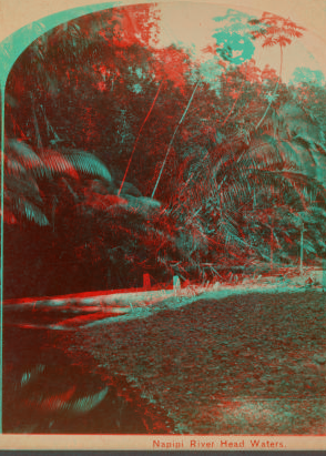 Napipi River, head waters. 1870?-1871? 1871