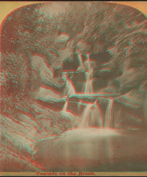 Cascade on the brook. [1865?-1905?]