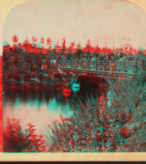 Oak Bridge, Central Park. [1860?-1900?]