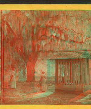 Coming from the well, Wormsloe, the DeRenne Plantation, Isle of Hope. 1867?-1905? [187-]