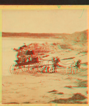 [Children in goat cart on beach.] 1860?-1869?