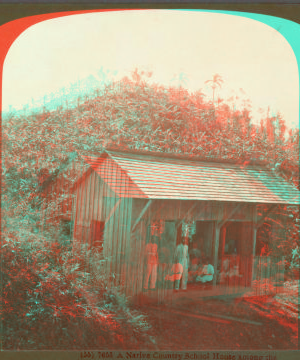 A Native Country School House among the Banana Trees, Jamaica. 1904