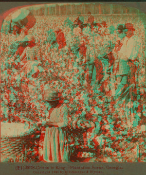 Cotton is king - A plantation scene, Georgia. 1867?-1905? 1896