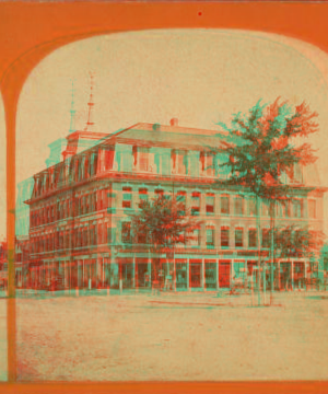 [View of Little's Block, Georgetown.] 1865?-1880?