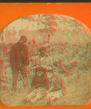 [Four African-American boys.] 1867?-1895?