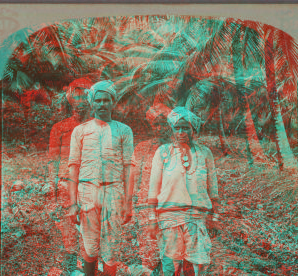 Coolies, man and woman, Jamaica. 1899