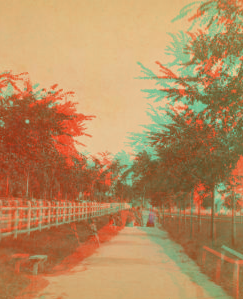 Park, Upper Walk. 1870?-1880?