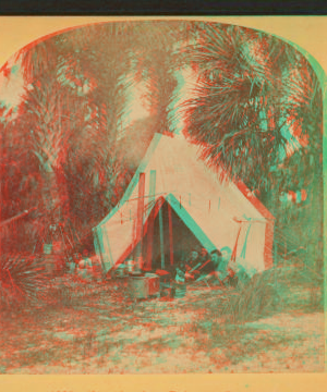 Camping in Palmetto Forest, Florida. 1870?-1905? [189-?]