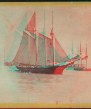 Bay view, from Battery, N.Y. Schooner under way. 1859?-1875? [ca. 1860]