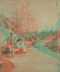 Group in the park. [1859?-1895?]