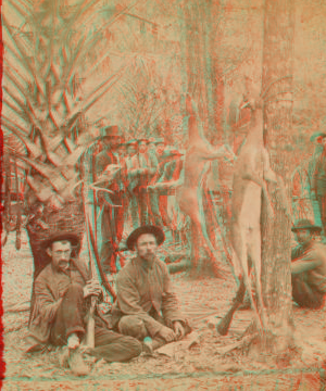 Hunters party, Florida. 1870?-1905?