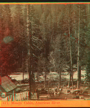 Miner's Cabin, American River. [no. 617]. 1864?-1905? 1865