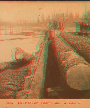 Unloading logs, Puget Sound, Washington. 1896 1870?-1920?