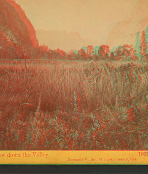 View down the valley. Yosemite Valley, Mariposa County, Cal. 1861-1873 1861-1878?