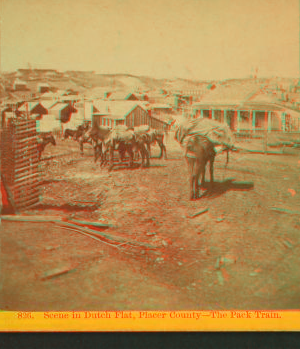 Scene in Dutch Flat, Placer County, the pack train. 1868?-1875?