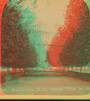 Shady walk to the Capitol, Washington, D.C. 1859?-1905? [ca. 1875-ca.1895]