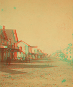 View of a street in Sanford, Florida. 1870?-1895?