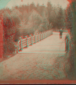 Central Park, Oak Bridge. [1860?-1900?]