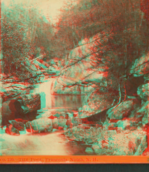 The Pool, Franconia Notch. 1858?-1875?