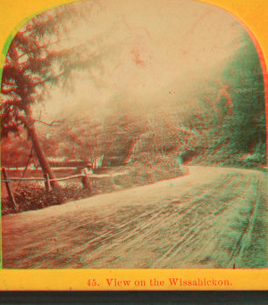 View on the Wissahickon. 1860?-1885?