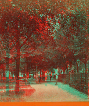 Promenade in Park. 1867?-1900?