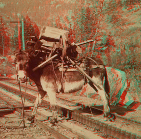 "I helped to build Pike's Peak railroad myself," Colorado, U.S.A. 1865?-1905? c1894