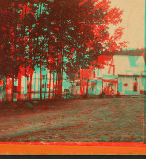 [View of homes in South Orrington, Maine.] 1868?-1880? 1911