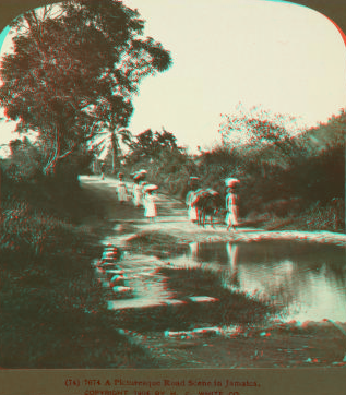 A Picturesque Road Scene in Jamaica. 1904