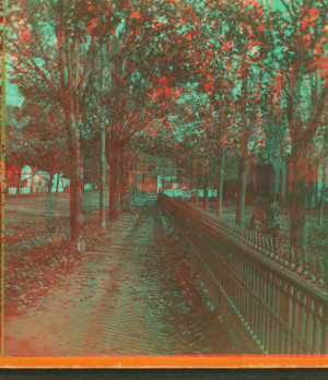 [Tree lined walkway along an iron fence, Girard, Pennsylvania.] 1870?-1880?