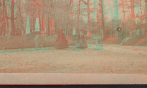 [View in Greenwood Cemetery.] [1860?-1885?] [ca. 1865]