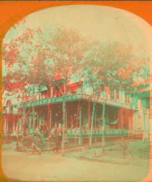 [View of a cottage, trees in front, people on porch.] 1865?-1885?