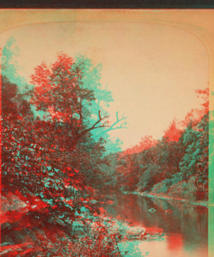 View in Fairmount Park. 1860?-1885?