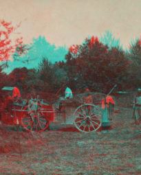 Gathering grass. [1865?-1901?]