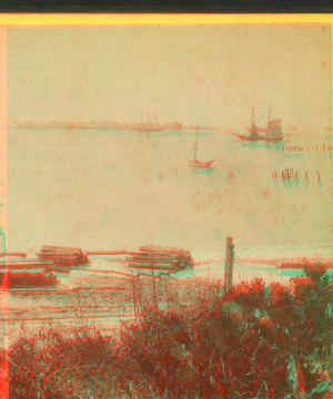 View from Cedar Key, Fla. 1870?-1890?