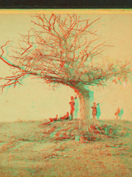 A lone grave on battle-field of Antietam. 1862-1865