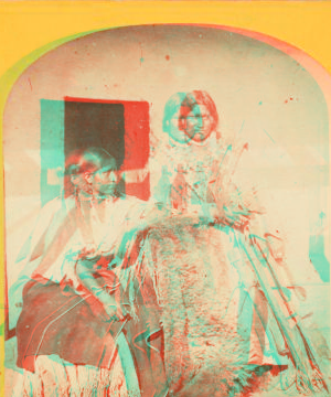 Jicarilla brave and squaw, lately wedded. Abiquiu Agency, New Mexico. 1874