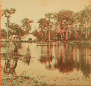 Silver Springs on the Oklawaha River. [ca. 1875] 1875?-1890?