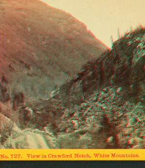 View in Crawford Notch, White Mountains. [ca. 1872] 1858?-1895?