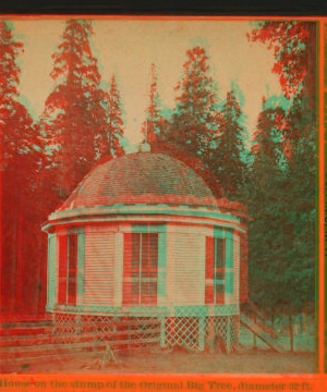 House over the Stump of the Original Big tree, diameter 32 feet, Mammoth Trees of Calaveras Co., California. 1870?-1880?