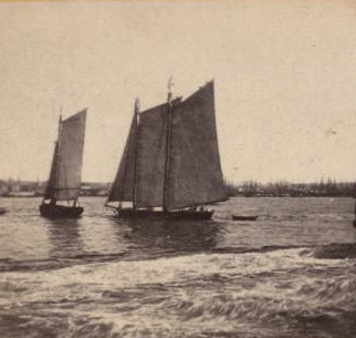 View from foot of Whitehall street, looking towards south Brooklyn. The agitation of water in the foreground is occasioned ny a steamboat just passed. 1859?-1875? [ca. 1860]