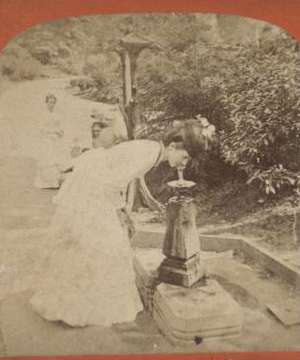 Drinking fountain, Prospect Park. [1870?-1890?]