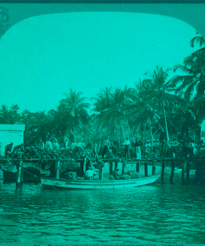 Banana wharf and coconut plantation, Jamaica. 1899