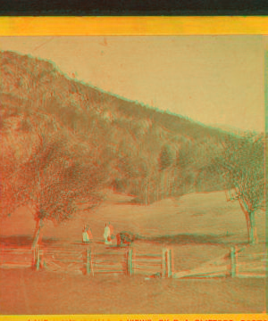 'Have this next,' on slope of Rattlesnake Mt., Rumney, N.H. 1869?-1890?